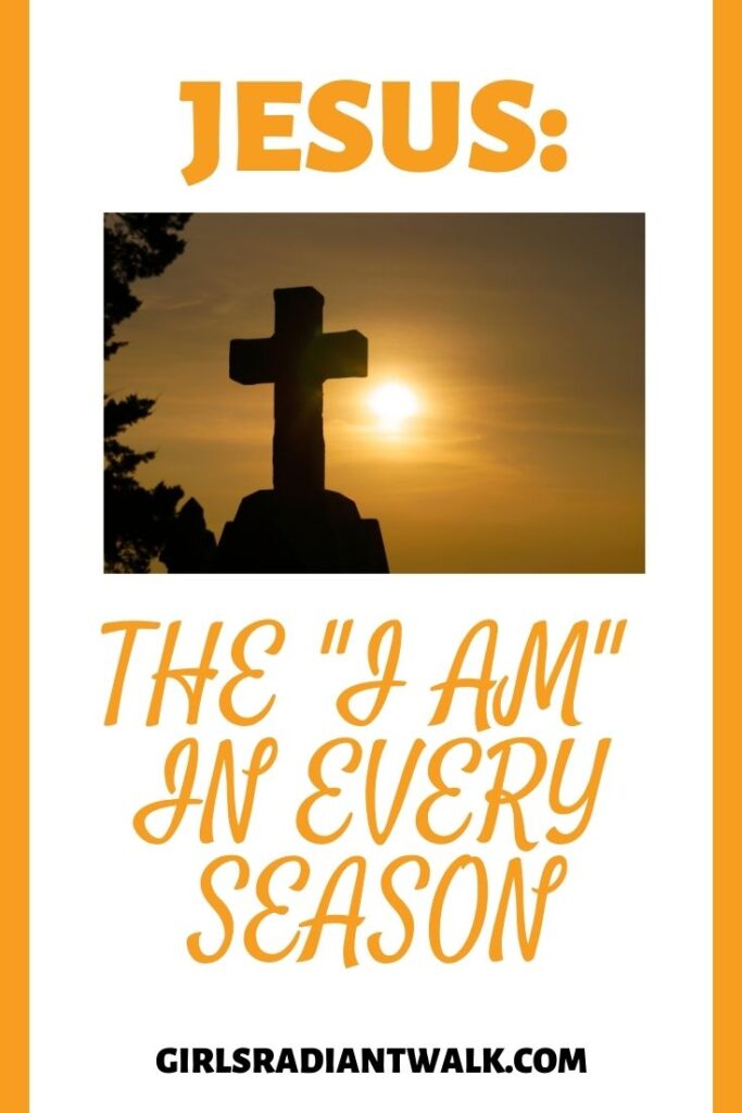 Jesus: The "I Am" in every season. Who is Jesus to you?

He is Shepherd, Life, Truth, Door... and so much more to us.